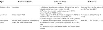 Podocyte Injury in Diabetic Kidney Disease: A Focus on Mitochondrial Dysfunction